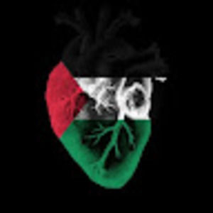 Meet your Posher, Meriam